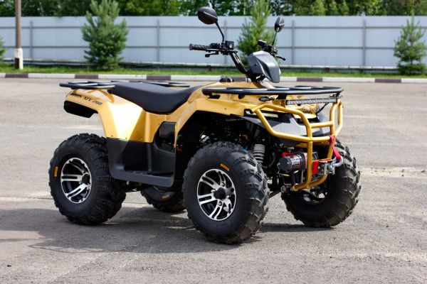 Квадроцикл IRBIS (Ирбис) ATV 250 Premium 2024 жёлтый с ПСМ | Мототека